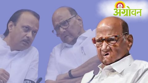 Sharad Pawar