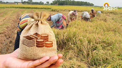 Crop Loan 