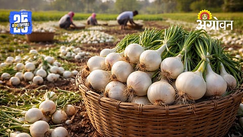 Onion Farming