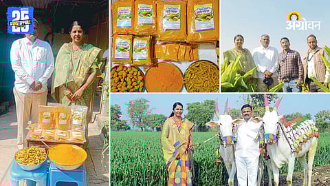 Turmeric Processing Industry