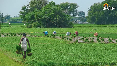 Agriculture Reforms