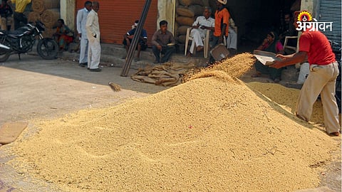 Paddy Procurement