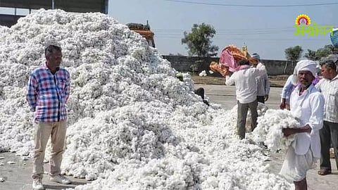 Cotton Purchase