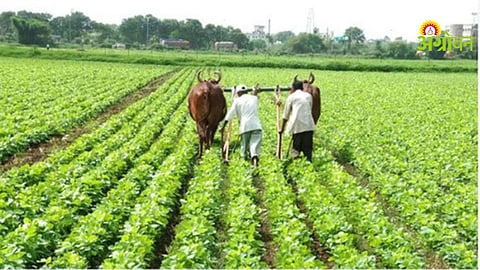 Natural Farming Mission