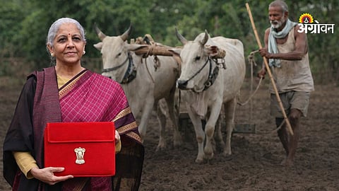 Budget 2026 Agriculture Disappointment