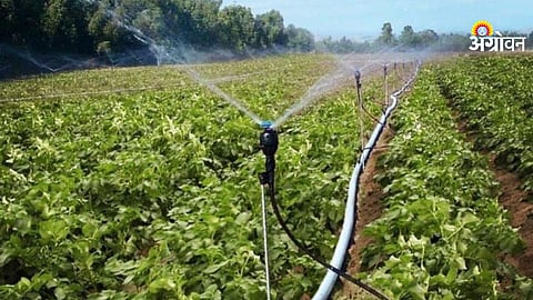 Micro Irrigation