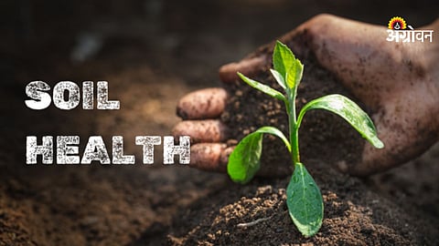 Soil Health
