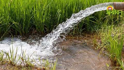 Groundwater Management