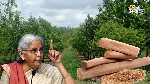 Sandlwood Cultivation 