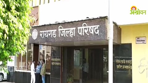 Local Body Elections