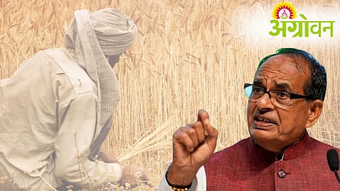 Agriculture News, Shivraj Singh Chouhan