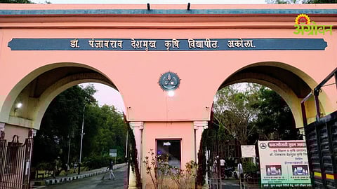 Dr Panjabrao Deshmukh Krushi Vidyapeeth Akola