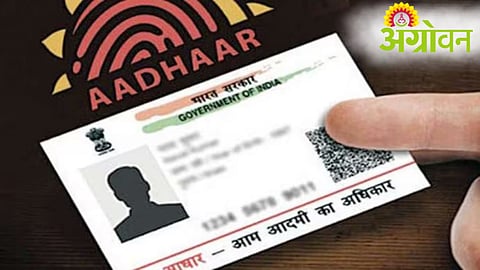 Aadhaar Numbers 