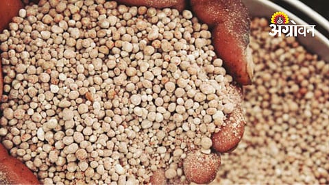 DAP Fertilizer Price