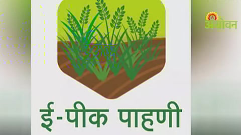 Rabi Crop Survey