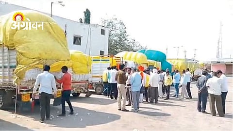 CCI Cotton Procurement