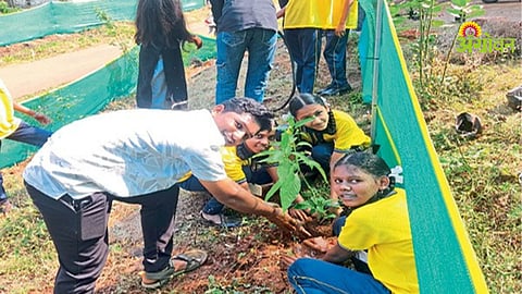 Biodiversity Conservation