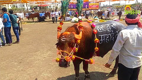 Maha Pashudhan Expo 2026