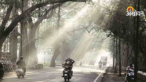 Weather Update: तापमानातील चढ -उतार कायम राहण्याची शक्यता