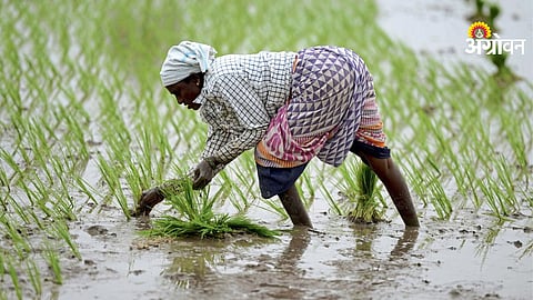 Women Farmer