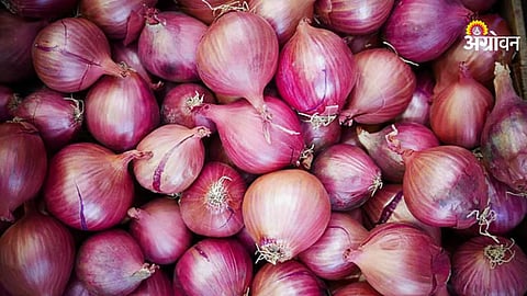 Onion Subsidy Demand