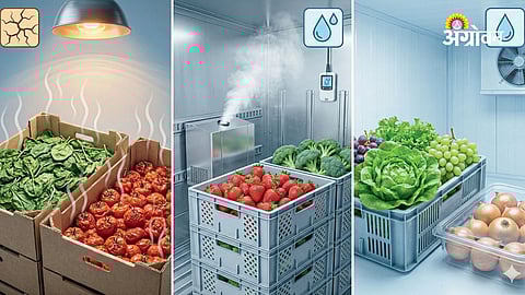 Post Harvest Management