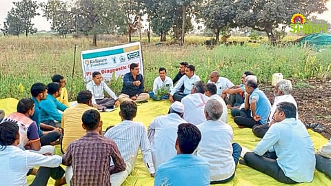 Orange Orchard Management