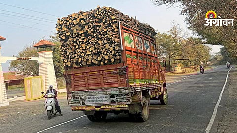 Orange Orchard Cutting Issue
