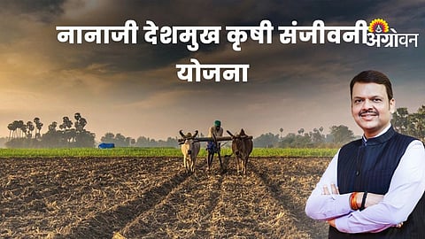 Nanaji Deshmukh Krushi Sanjeevani Yojana