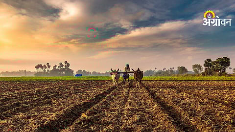 Indian Agriculture