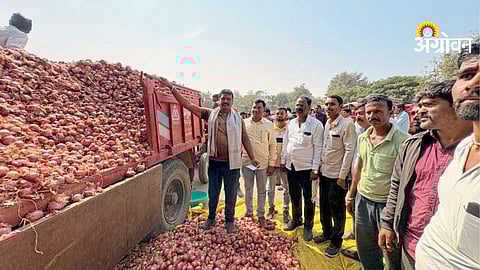Onion Market