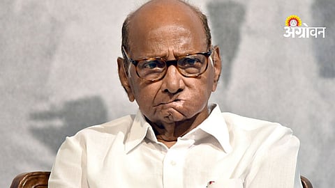 Sharad Pawar admitted to Ruby Hall Clinic Pune for chest congestion