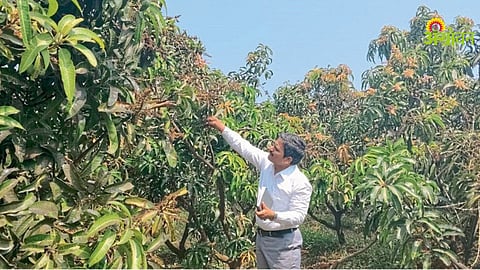 Agro Orchard Management