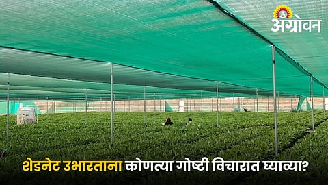 Shade Net House Construct