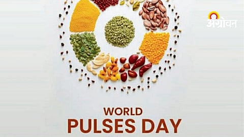 World Pulses Day