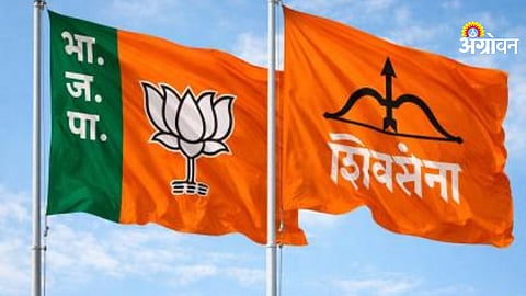 Local Election Results