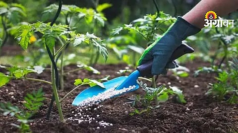 Natural Farming in AP 2026