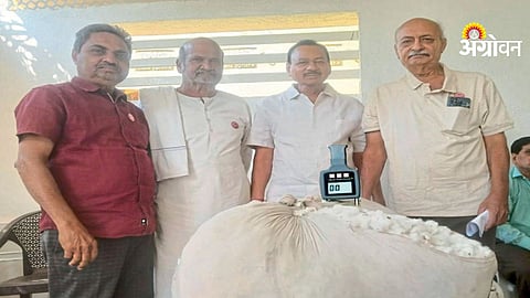 Shetkari Sanghatana demand for cotton price bonus