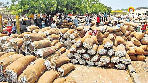 Impact of CCI cotton bale sales on local farmers