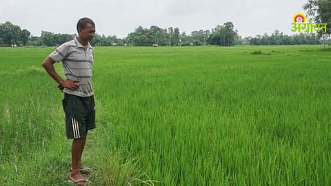 Climate Resilient Farming