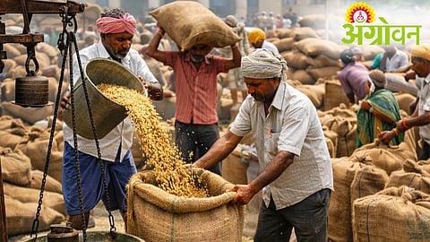 Paddy Procurement