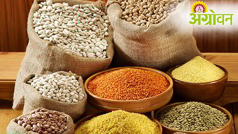 Pulses Import