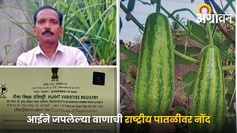 Traditional seed conservation success story India