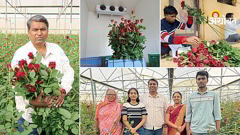 Farmer success in national flower market