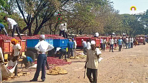 Impact of low onion price on farmers