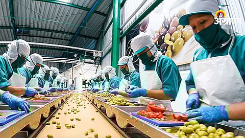 Maharashtra food processing industry growth