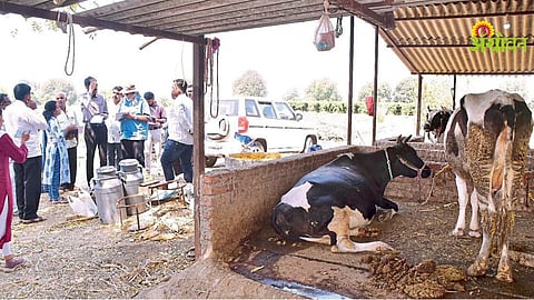 Flood Damage Inspection