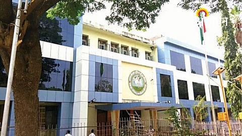 Engineers and doctors in local body Solapur