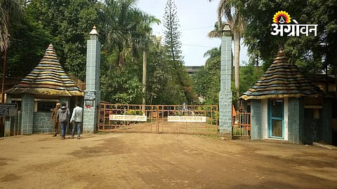 Special teams to inspect sugar mill weighbridges