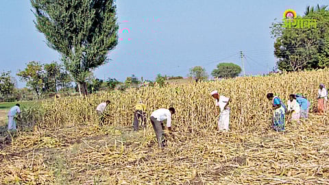 Air pressure drop and temperature rise Maharashtra